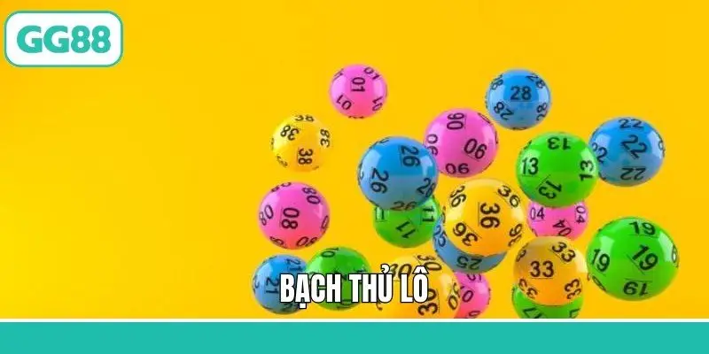 bạch thủ lô